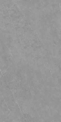 DZ126010-2