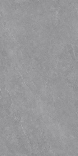 DZ126010-4