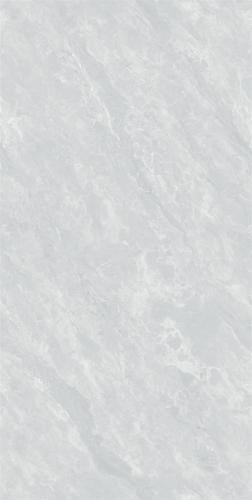 DZ157017
