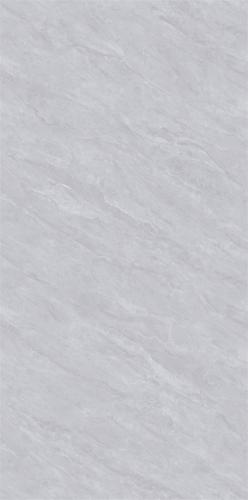 DZ157018-2