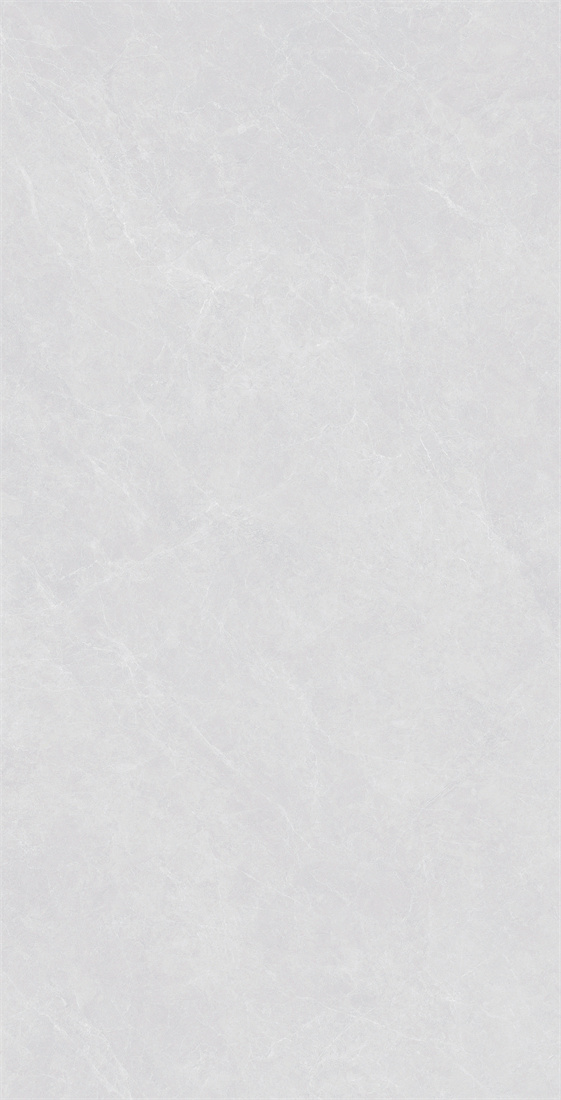 DZ189S01