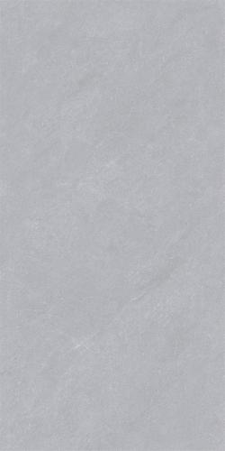 DZ189015-2