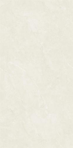 DZ48012-2