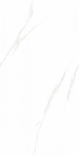 DZ48001-2