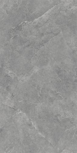 DZ157038-2