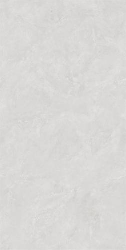 DZ157043-3